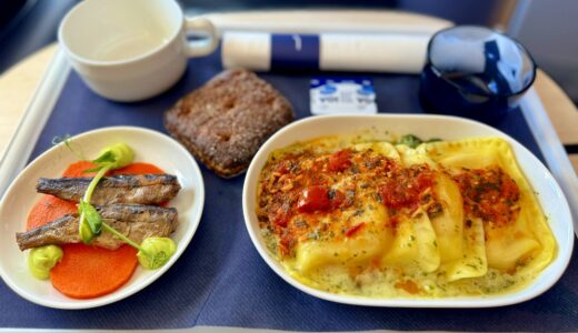 【フィンエアービジネスクラス】搭乗記！新型ビジネスシート！北欧らしい機内食！アメニティ！A350！マリメッコやイッタラも楽しめる！